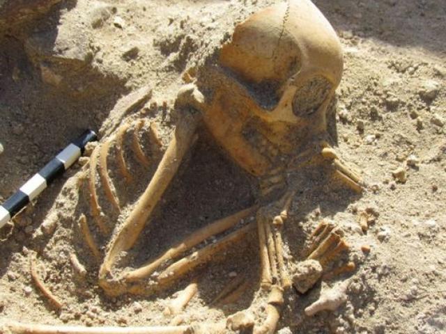 Phi thường - kỳ quặc - Tìm thấy hài cốt khỉ 2.000 năm tuổi nằm như người đang ngủ ở Ai Cập