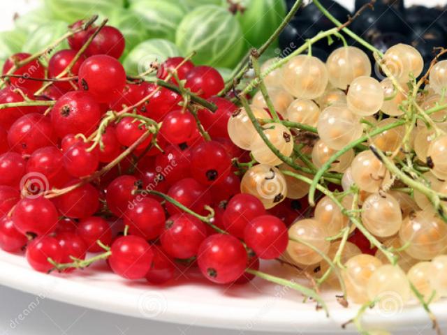 Thị trường - Tiêu dùng - Thứ quả "rẻ như bèo" ở nước ngoài, về Việt Nam bán tiền triệu vẫn tranh nhau mua