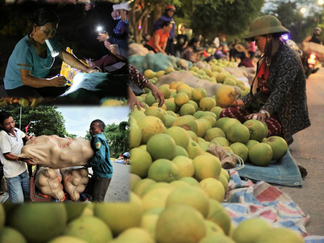 Thị trường - Tiêu dùng - Bưởi đặc sản vào vụ, trăm người soi đèn thức trắng bán ở chợ đêm