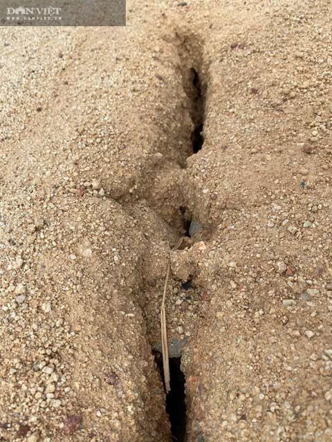 Những vết nứt ngang, dọc xuất hiện chằng chịt trên thân đập chứa.