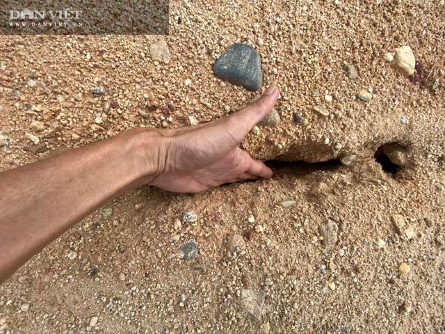 Một trong số vết nứt sâu ở mặt trên thân đập