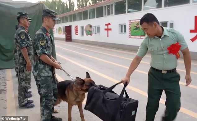 Chú chó nghiệp vụ ngoạm lấy chiếc túi của quân nhân Trung Quốc. Ảnh: Weibo