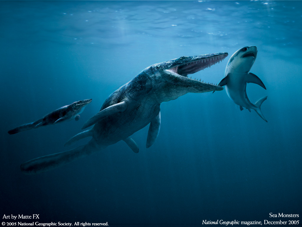 Hình nền Nền Cá Mập Lớn Với Những Chiếc Răng Nanh Lớn đang Bơi Trong Nước  Nền, Hình ảnh Của Megalodon, Megalodon, Cá Background Vector để tải xuống  miễn phí - Pngtree