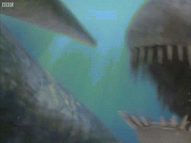 Thế giới - Quái vật đại dương khổng lồ nặng 40 tấn, đối thủ đáng gờm nhất của siêu cá mập Megalodon