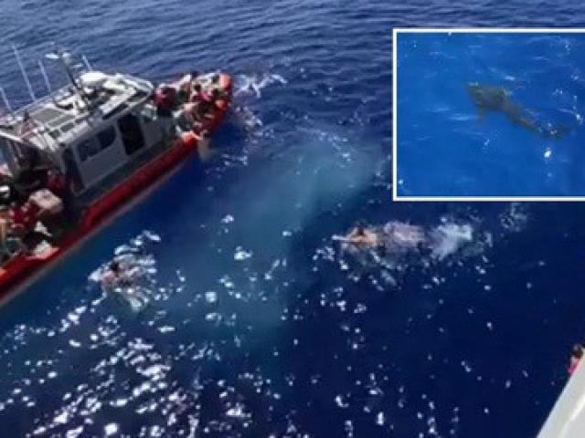 Media - Tuần duyên Mỹ bắn cá mập, giải cứu gần 40 người đang bơi