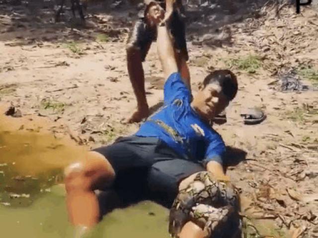 Media - Bị siết chặt, hai cậu bé vẫn dùng tay không bắt gọn con "trăn khủng"