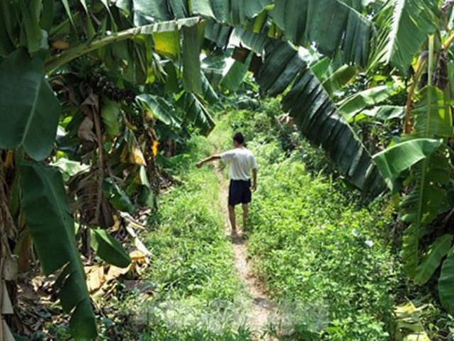 Pháp luật - Cục trẻ em đề nghị công an điều tra nhanh vụ cháu bé 12 tuổi bị hiếp dâm ở vườn chuối