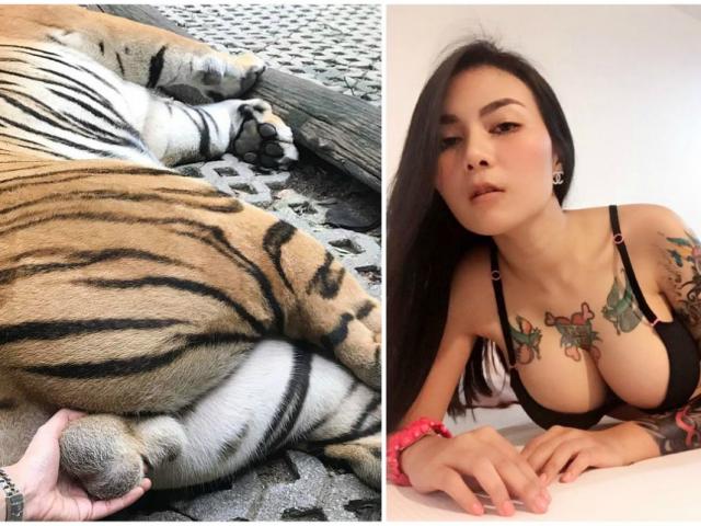 Thế giới - Thái Lan: Nữ diễn viên quyến rũ hứng "bão" chỉ trích vì hành vi "dị" với hổ