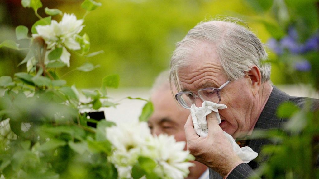 Viêm mũi ,viêm xoang – bệnh lý dai dẳng hay tái phát