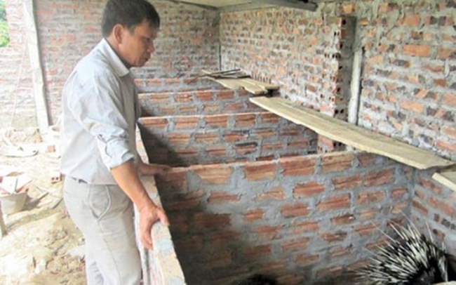 Nguyên nhân một phần do phân nhím có mùi hôi khó chịu nên người nuôi chăm sóc cẩn thận sẽ giúp nhím phát triển tốt.

