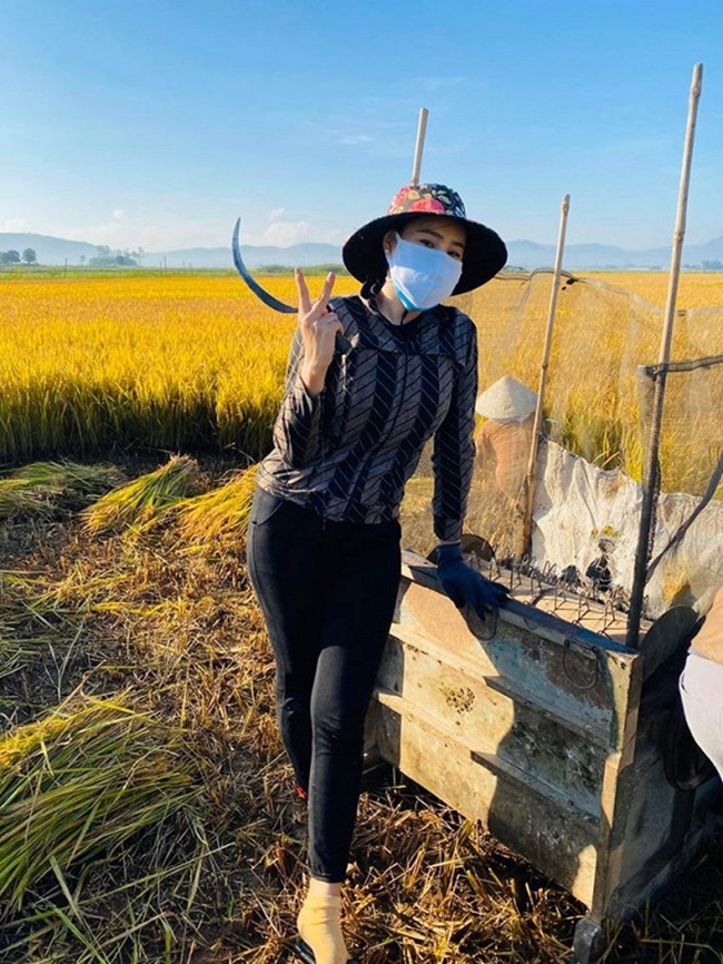 Tháng 4 vừa qua, diễn viên Hồ Bích Trâm về quê ở Quảng Ngãi tránh dịch. Cô không ngại ra đồng gặt lúa, phơi thóc và theo mẹ đi hái bắp.
