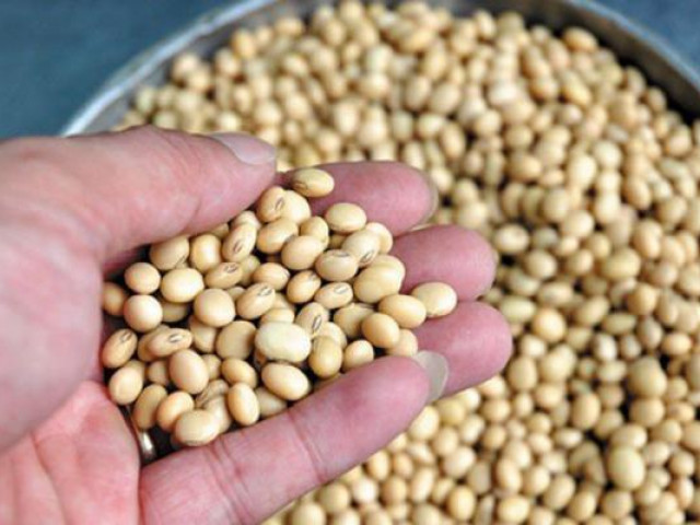 Sức khỏe đời sống - Thực phẩm không nên sử dụng trước khi "yêu"