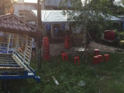 Tin tức trong ngày - Cha nghèo ăn thịt cóc tử vong, bỏ lại con thơ 5 tuổi