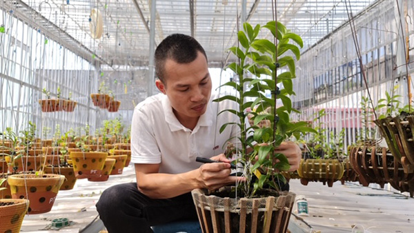 Doanh nhân Hoangnam Jsc: Phong lan là một cuộc chơi đầy thú vị - 2