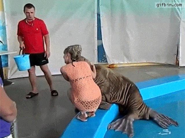 Tranh vui - Hài hước với khoảnh khắc chị em bị động vật "tấn công" bất ngờ