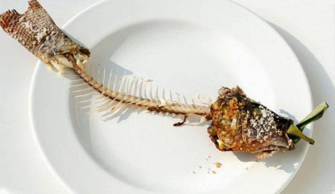 7 bộ phận của cá người Việt vẫn tranh nhau ăn mà không biết nó chứa chất độc nguy hại - 5