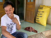 'Bóng ma' cầm đồ thuốc độc ở vùng cao Quảng Ngãi