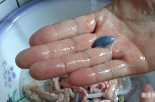 7 bộ phận của cá người Việt vẫn tranh nhau ăn mà không biết nó chứa chất độc nguy hại - 4