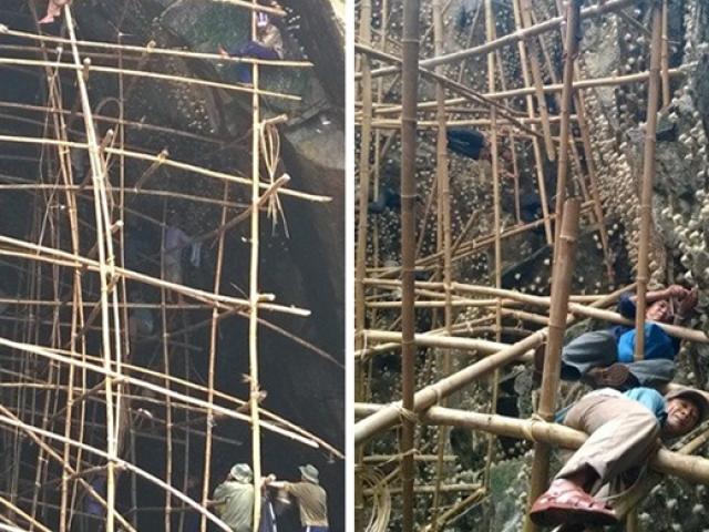 Thị trường - Tiêu dùng - Thứ tạo ra từ nước bọt của chim rất quý, ở Việt Nam giá bán chục triệu vẫn hết hàng