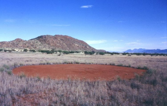 Vòng tròn bí ẩn được người Namibia tin là dấu chân của các vị thần - 3