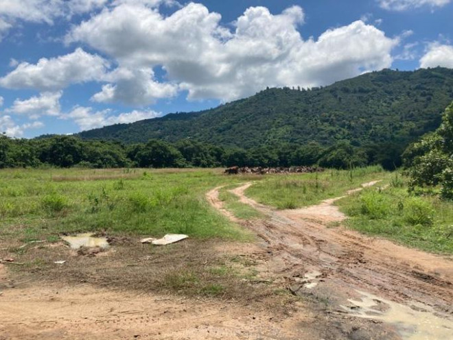 Tìm kiếm cháu bé 4 tuổi mất tích gần nhà ở vùng núi Chứa Chan - 8