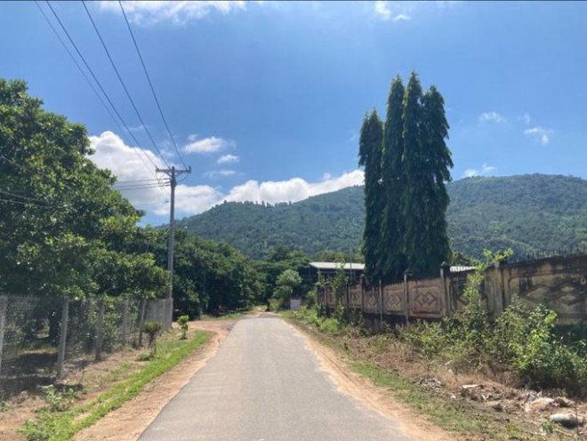 Tìm kiếm cháu bé 4 tuổi mất tích gần nhà ở vùng núi Chứa Chan - 7