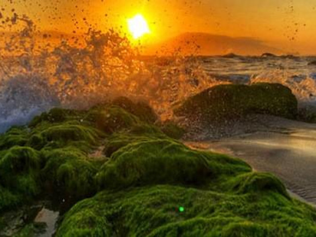 Du lịch - Đến ghềnh Nam Ô mùa vắng rêu