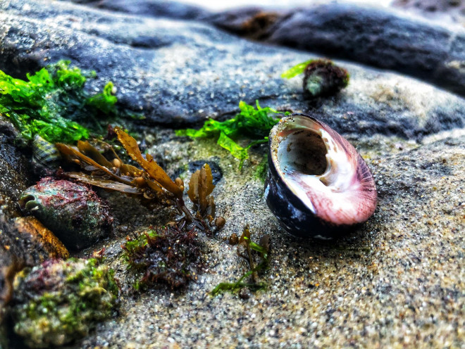 Đến ghềnh Nam Ô mùa vắng rêu - 6