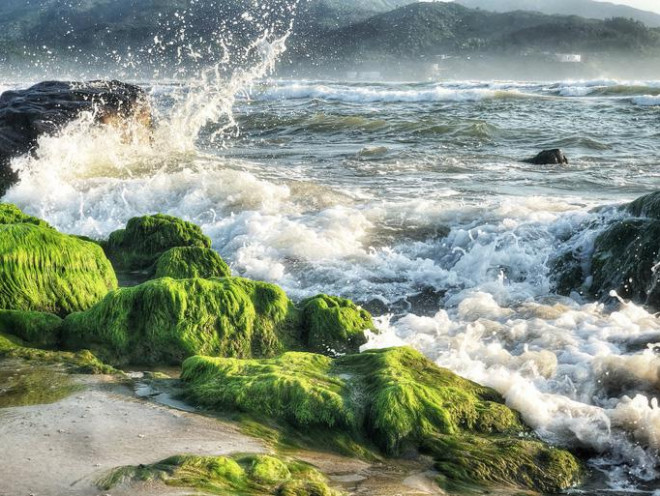 Đến ghềnh Nam Ô mùa vắng rêu - 5