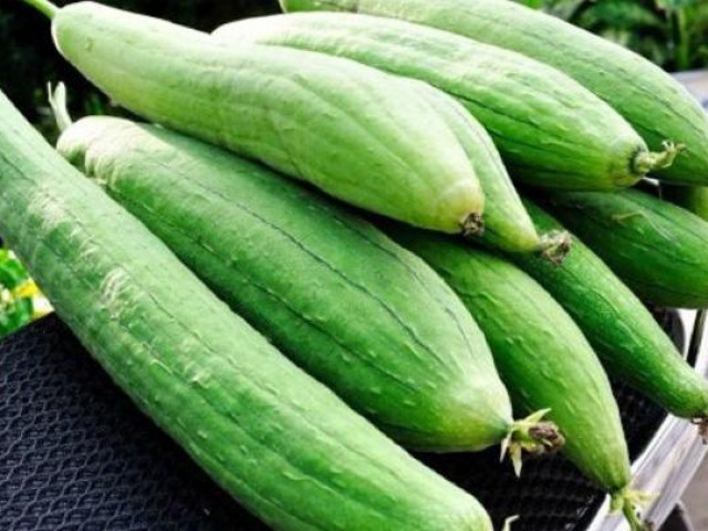 Ẩm thực - Loại quả ngọt mát quá quen thuộc nhiều người mua để xào, nấu, luộc là "khắc tinh" của không ít bệnh