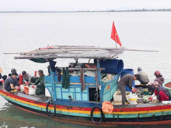 Tại cảng Cửa Sót, huyện Lộc Hà (Hà Tĩnh), trong những ngày qua ngư dân ra khơi đánh bắt sò mai đều trở về với con thuyền đầy khoang “lộc trời”.