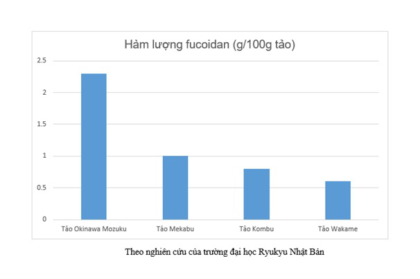Mozuku Fucoidan có hàm lượng fucoidan cao hơn tảo Mekabu, tảo Kombu và tảo Wakame.