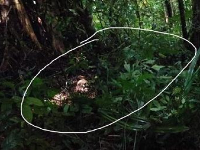 Pháp luật - Phát hiện 1 bộ xương người trên Núi Cấm