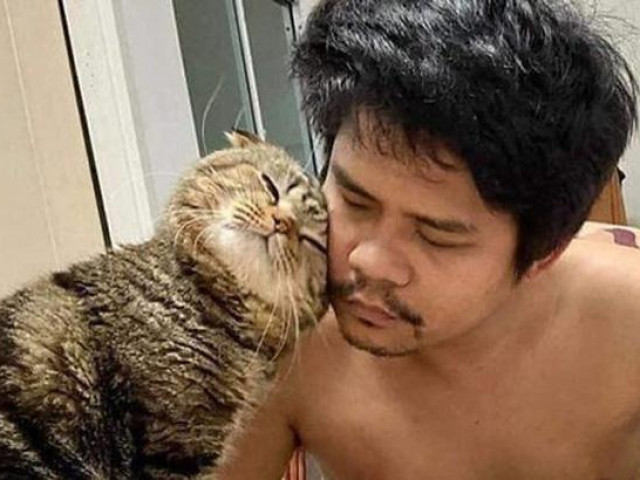 Bạn trẻ - Cuộc sống - Vợ bóc phốt "tiểu tam" mèo vì bị “cướp chồng”