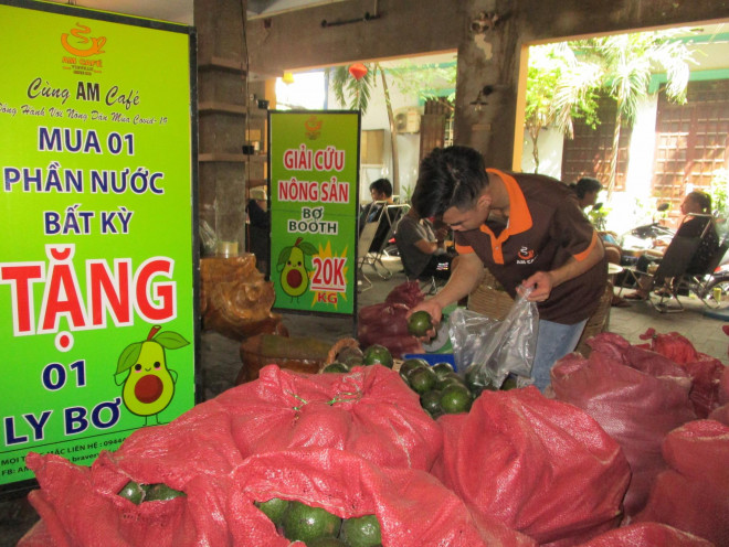 Bơ Booth được tập kết tại AM Café trên đường Hoàng Hoa Thám, quận Bình Thạnh, TP HCM chờ được “giải cứu”