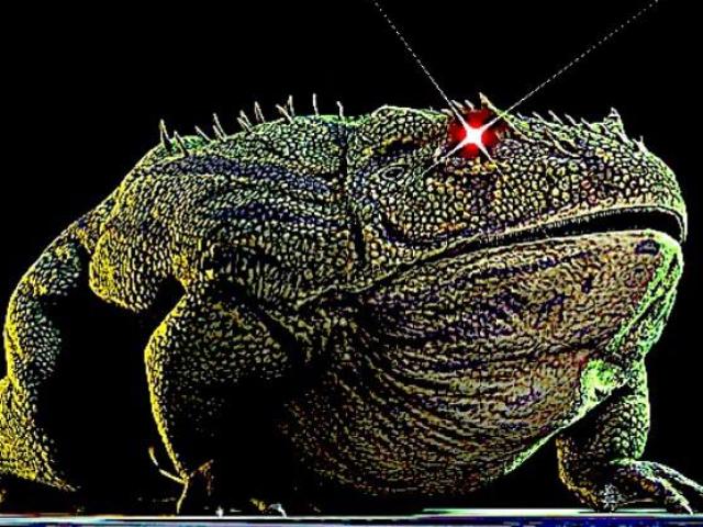 Media - Loài ếch quỷ khổng lồ có thể nuốt chửng cả khủng long