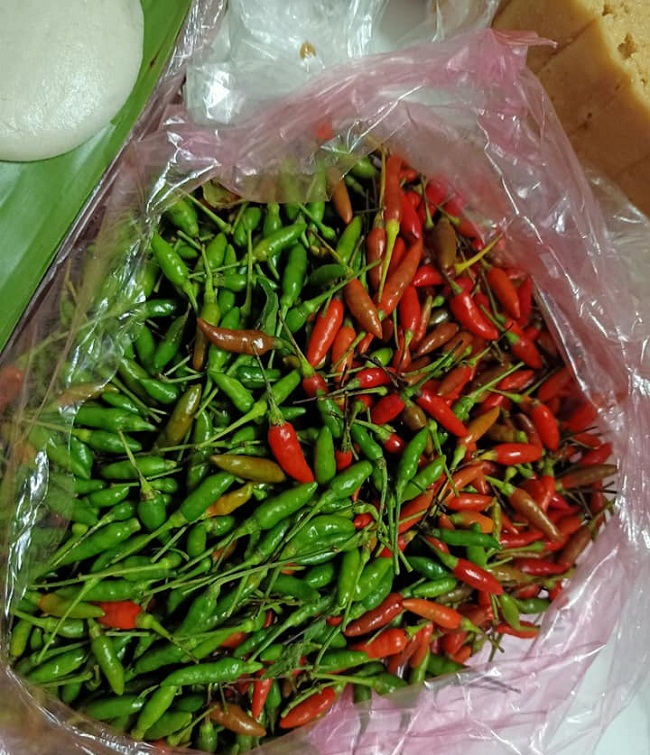 Bọc ớt gió – đặc sản của đồng bào Lai Châu là món quà mà anh Hoàng Phi Hồng thích thú “khoe”