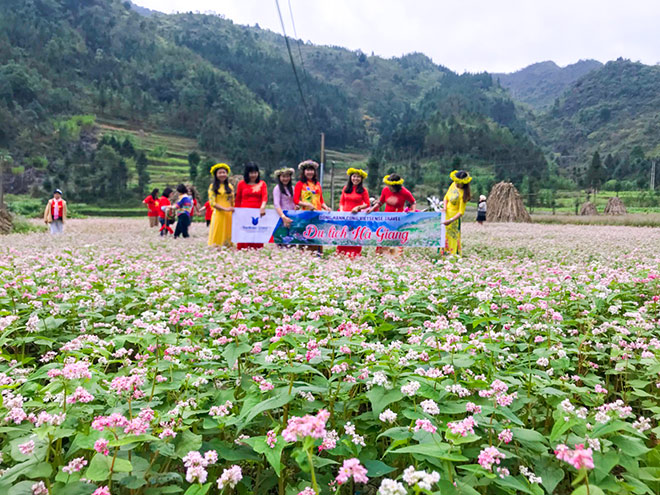 Lên kế hoạch thưởng lãm hoa Tam giác mạch Hà Giang ngay và luôn - 1