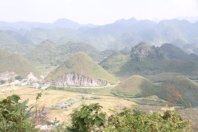 Lên kế hoạch thưởng lãm hoa Tam giác mạch Hà Giang ngay và luôn - 7