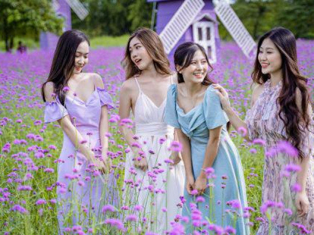 Bạn trẻ - Cuộc sống - Ảnh thiếu nữ xinh đẹp hút mắt bên hoa oải hương thảo tím gây "sốt" mạng