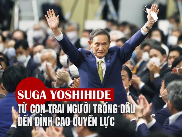Thế giới - [eMagazine] Suga Yoshihide: Từ con trai người trồng dâu đến đỉnh cao quyền lực