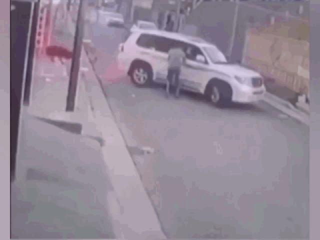 Media - Bị chó dữ truy đuổi, thanh niên "vận khinh công" nhảy thẳng qua tường cao lánh nạn