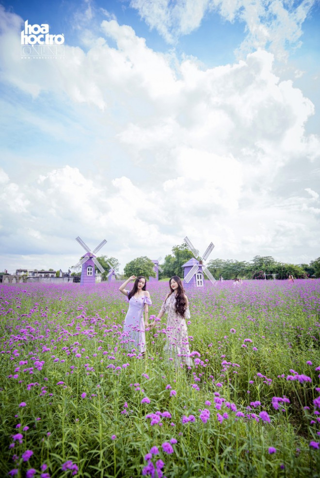 Giới trẻ Hà Nội rủ nhau check-in ở cánh đồng hoa oải hương rộng hàng chục nghìn mét vuông - 6