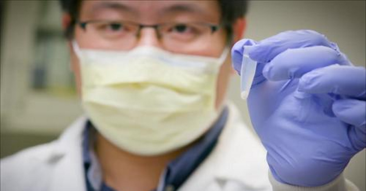 Thế giới - Phát hiện kháng thể siêu nhỏ có khả năng vô hiệu hoàn toàn virus corona