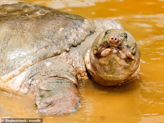 Thế giới - Đăng bức ảnh lên Twitter, ít phút sau Đại sứ Úc tại Campuchia phải xin lỗi 