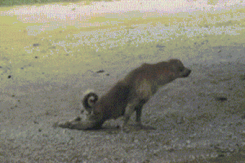 Những "cú lừa cực mạnh" khiến bao người phải ngỡ ngàng - 9