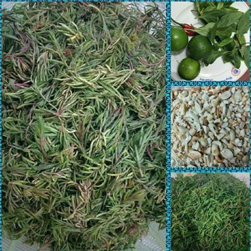 Thương nhớ món ngon từ &#34;lộc trời&#34;, người xa quê ăn 1 lần nhớ cả đời - 2
