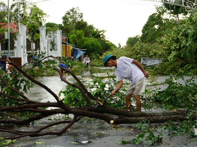 Chuyên viên phòng giáo dục tử vong vì cây gãy do bão đè trúng
