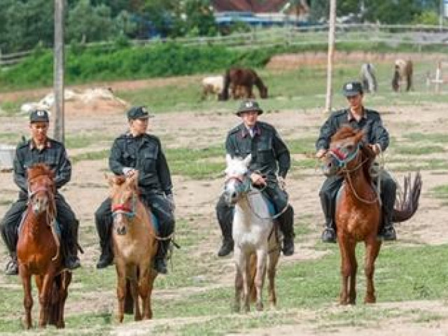 Tin tức trong ngày - Những "chiến sĩ 4 chân" trung thành