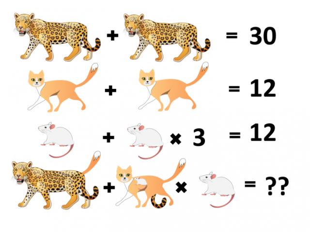 Giáo dục - du học - Câu đố mèo và báo thách thức cả những người tinh mắt nhất